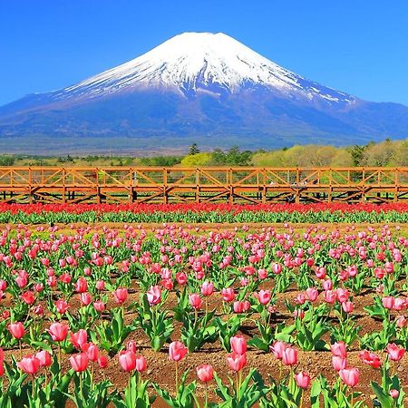 Hatago Sakuraya ยามานากะโกะ ภายนอก รูปภาพ