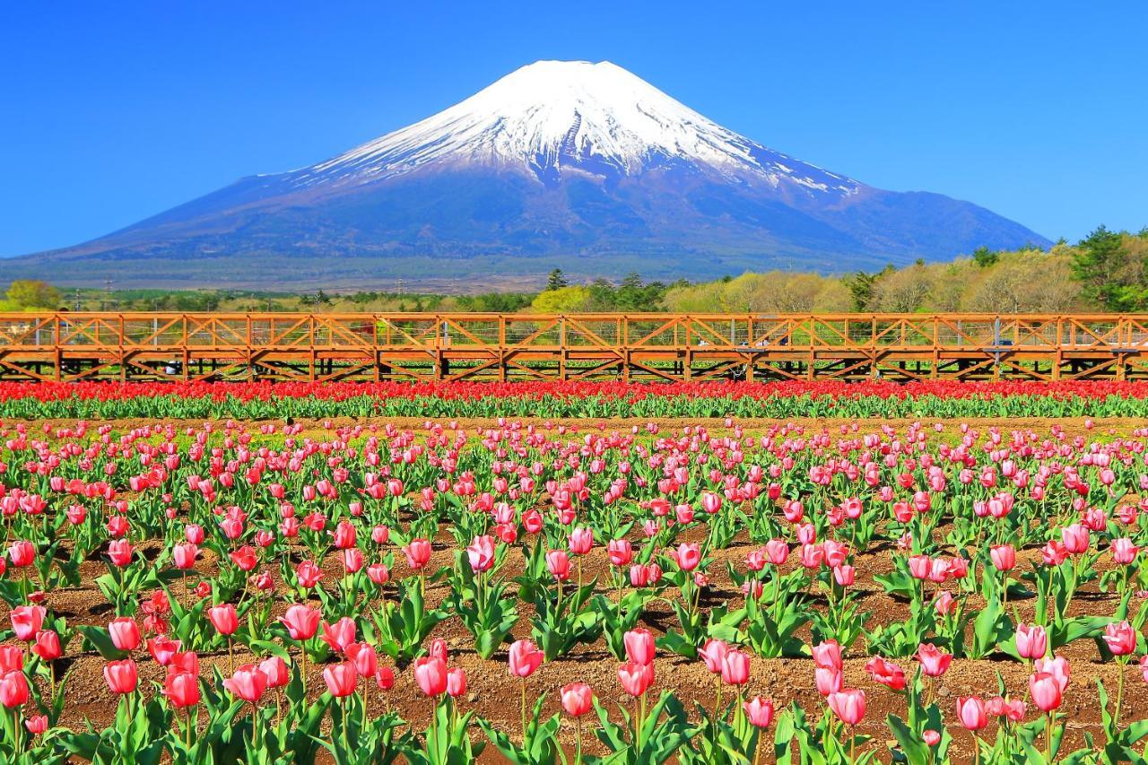 Hatago Sakuraya ยามานากะโกะ ภายนอก รูปภาพ